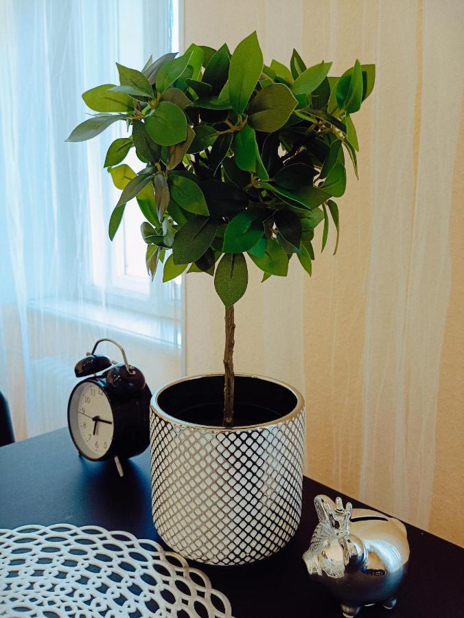 Centrally Located Studio Apartment Riga Extérieur photo